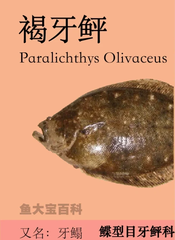 玩家攻略宝典“鱼扑克免费辅助器最新版本更新内容”(确实是有挂)-第1张图片