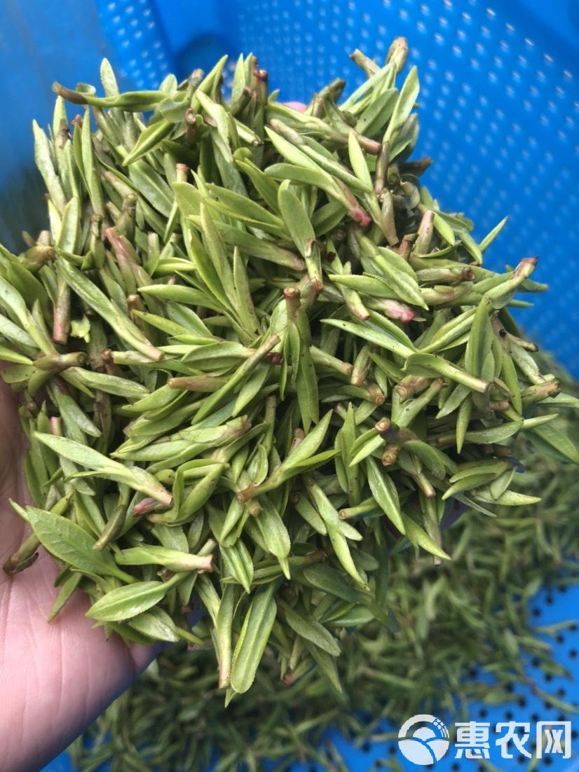 实测分享“丽水茶苑有挂吗	”分享装挂详-第1张图片