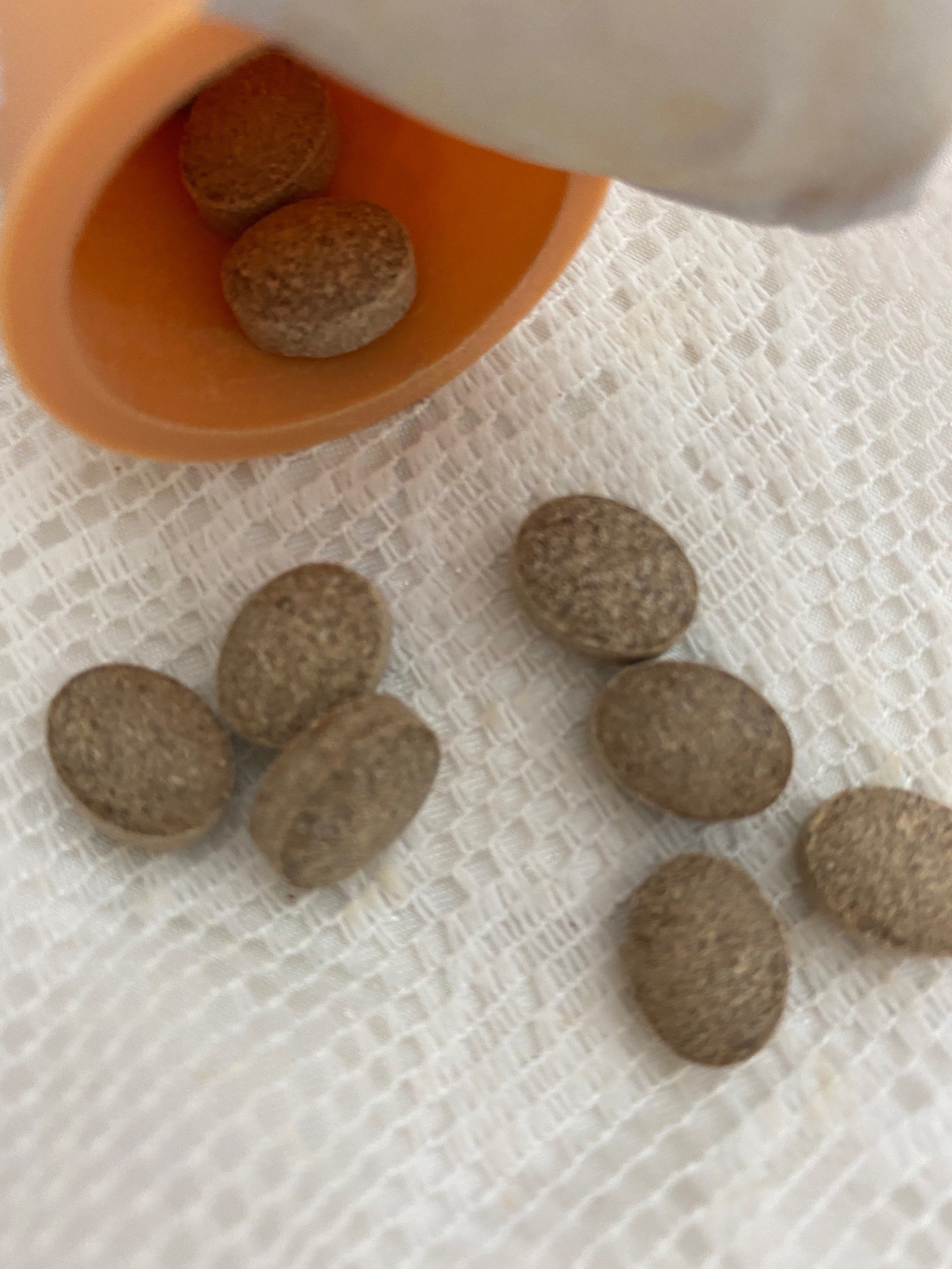 分享一款“牌友联盟透视挂教程	”(其实是有挂)-第1张图片