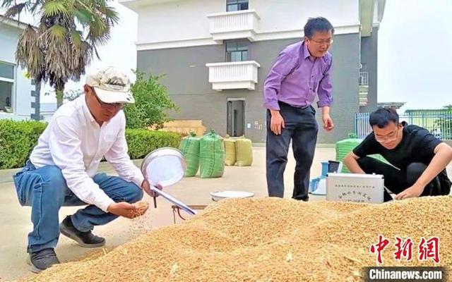 徐州睢宁县昨日疫情通报.徐州睢宁新冠病例-第3张图片