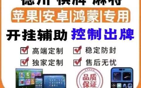 实测教程“wepoker透视挂真的吗”(其实真的能开挂)-第2张图片