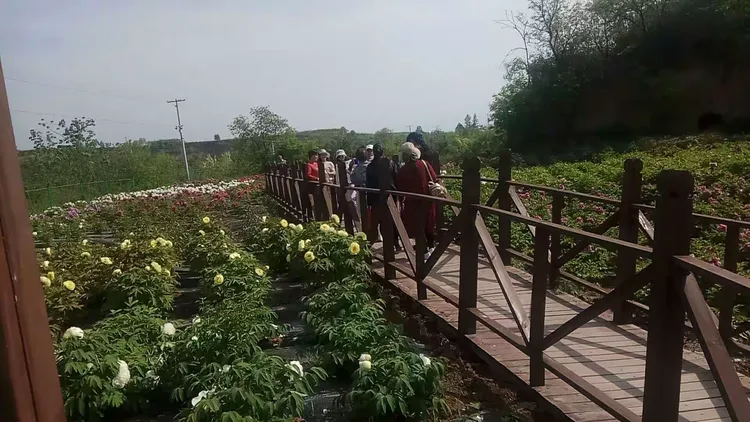 分析必看“家乡大贰有透视挂吗	”确实真的有挂-第3张图片