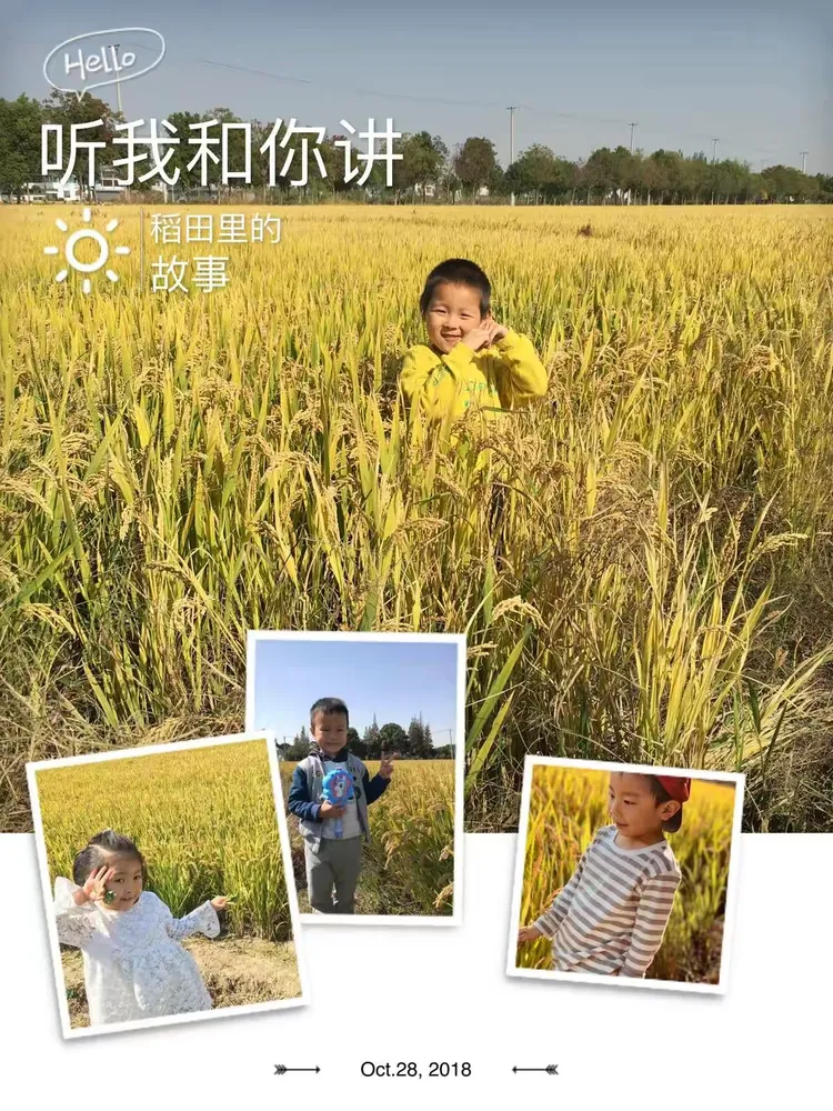我来告诉你“二七十开挂器多少钱”确实是有挂-第1张图片