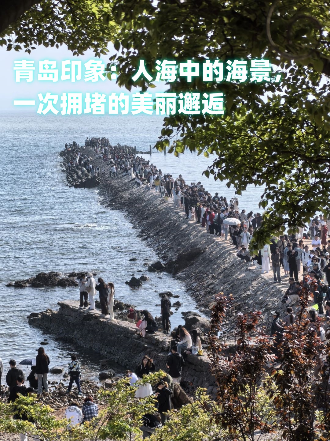 「建议五一归来观察14天」〃五一回来自我观察14天-第1张图片