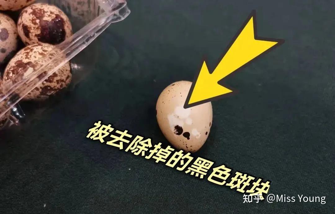 给大家科普一下“哈灵怎么自己开挂透视”分享装挂技巧步骤-第3张图片