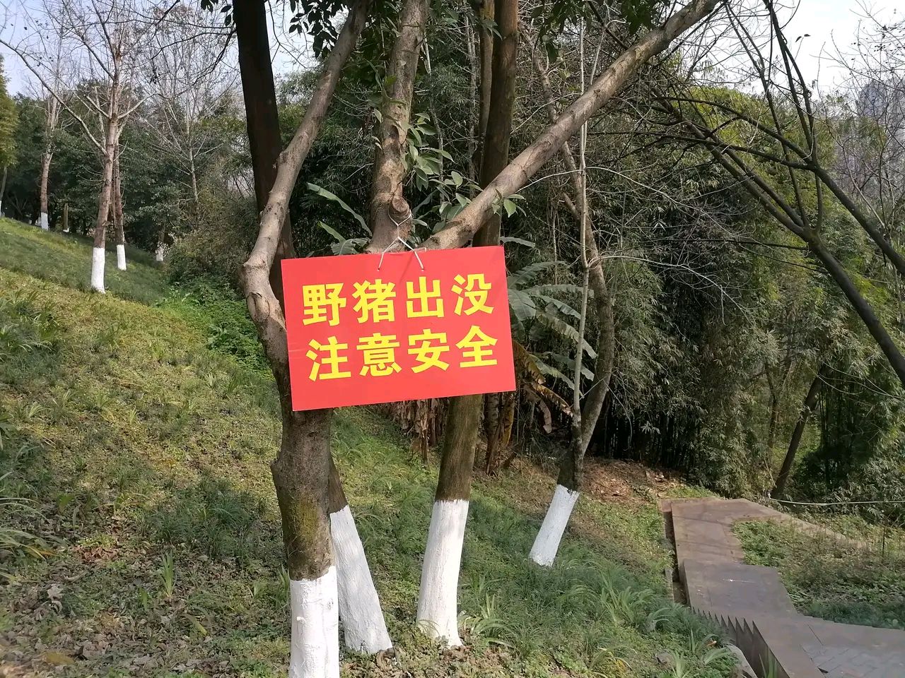 玩家综述“微乐陕西三代有挂嘛	”太坑人了,真的有挂-第1张图片