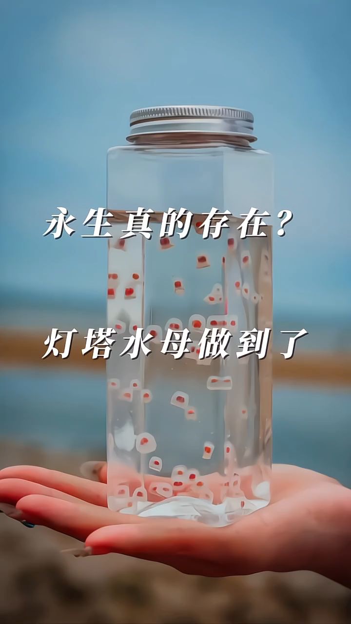 分享科普“聚友麻坛有挂吗”分享真的有挂给你-第1张图片