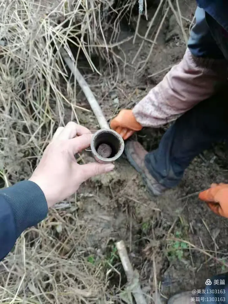 实测教程“金州水鱼开挂器”挂辅助教程-第1张图片