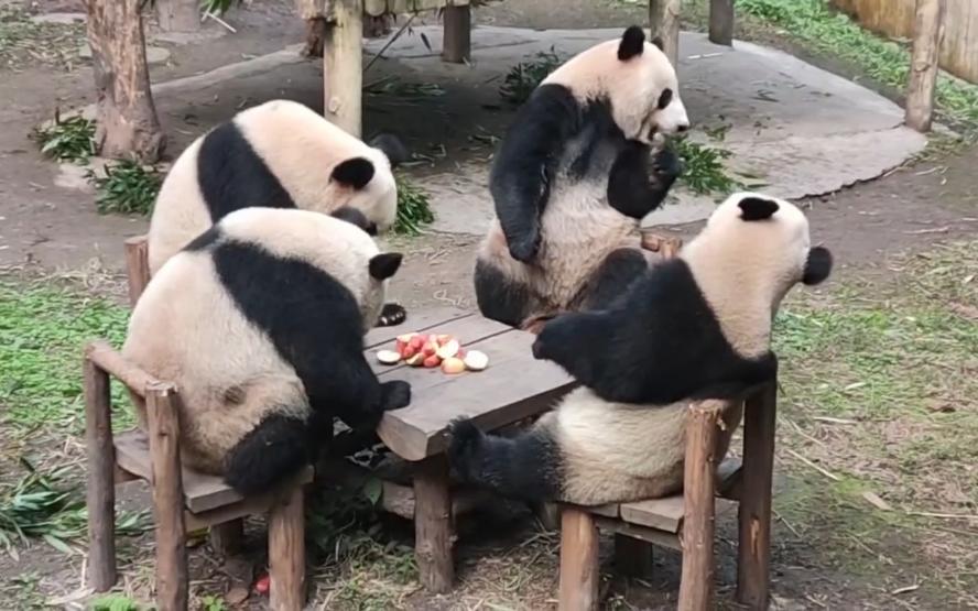 今日盘点“熊猫麻将可以开挂真假	”分享装挂步骤-第1张图片