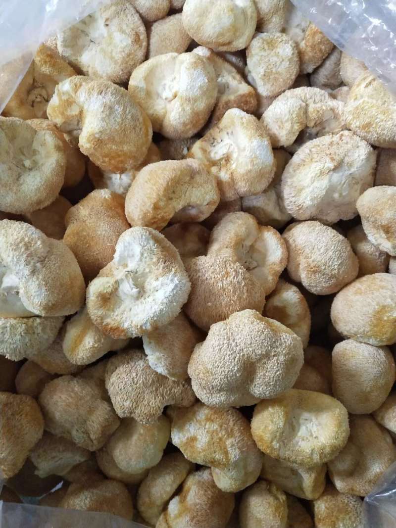 分享干货“一起宁德钓蟹有挂吗”(必胜开挂神器)-第2张图片