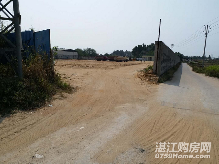 玩家热议“0759湛江麻将修改神器	”的确是有挂-第1张图片