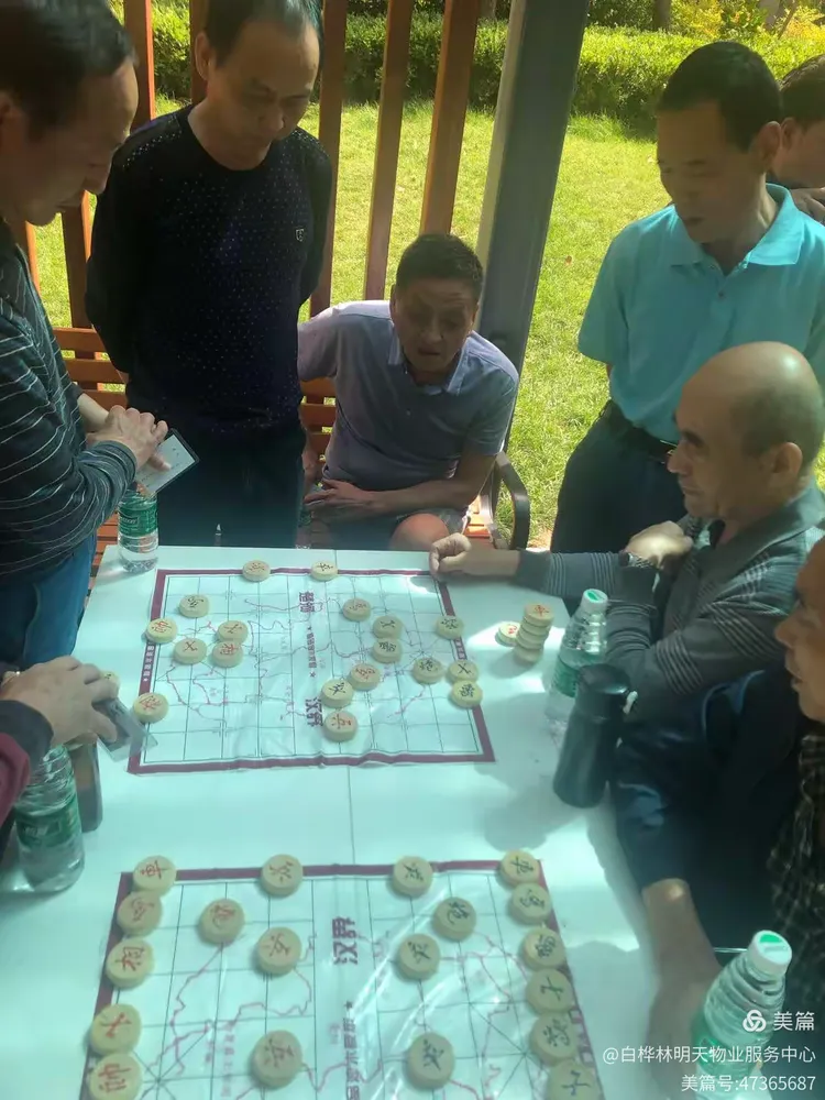 强力推荐“棋乐门软件下载辅助”其实真的确实有挂-第1张图片