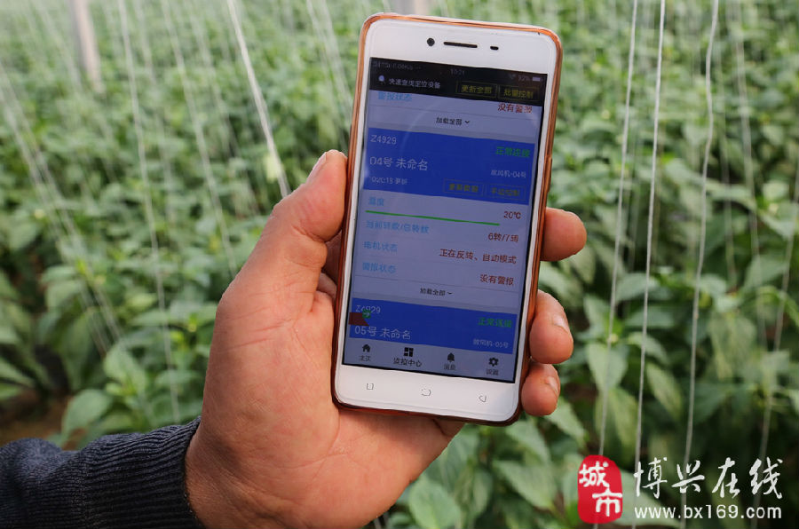 分享热点“手机微乐干瞪眼怎么来好牌”详细开挂玩法-第3张图片