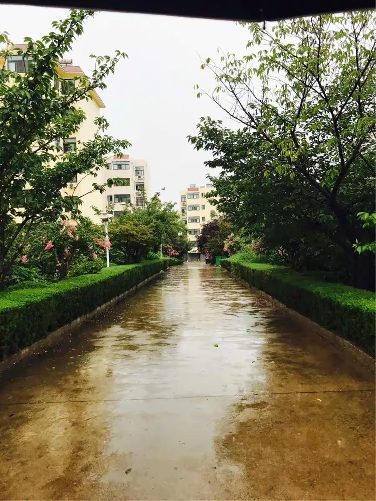 我来教大家“牵手跑得快小程序 开挂	”附开挂脚本详细步-第1张图片