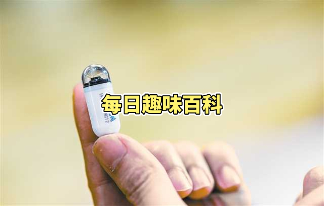 揭秘科普“哈局十三张开挂神器怎么玩”其实确实有挂-第3张图片