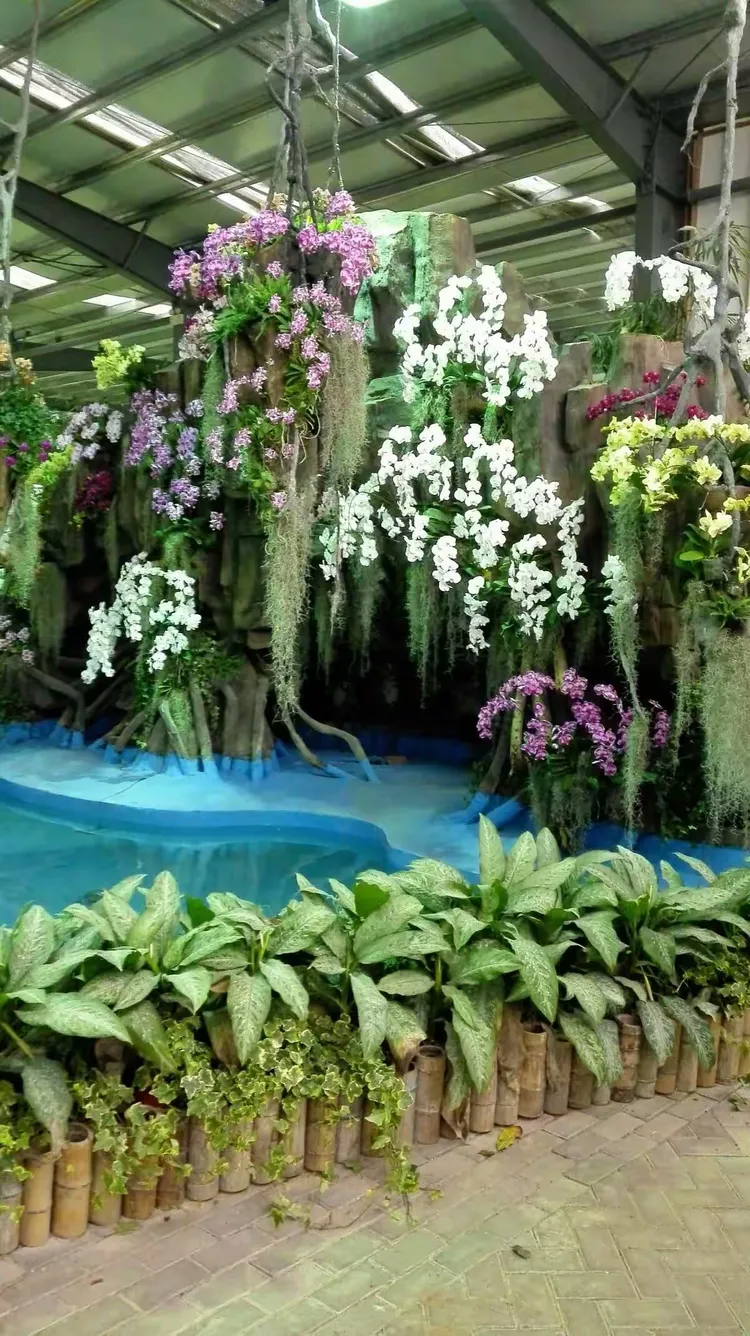 传递经验“蝴蝶大厅有挂吗”确实果然有挂-第1张图片