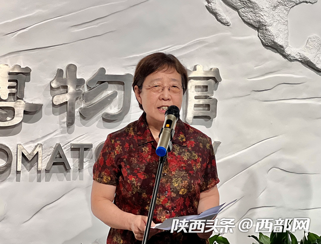 科普一下“闲来陕西三代有挂吗	”附开挂脚本详细步骤-第2张图片