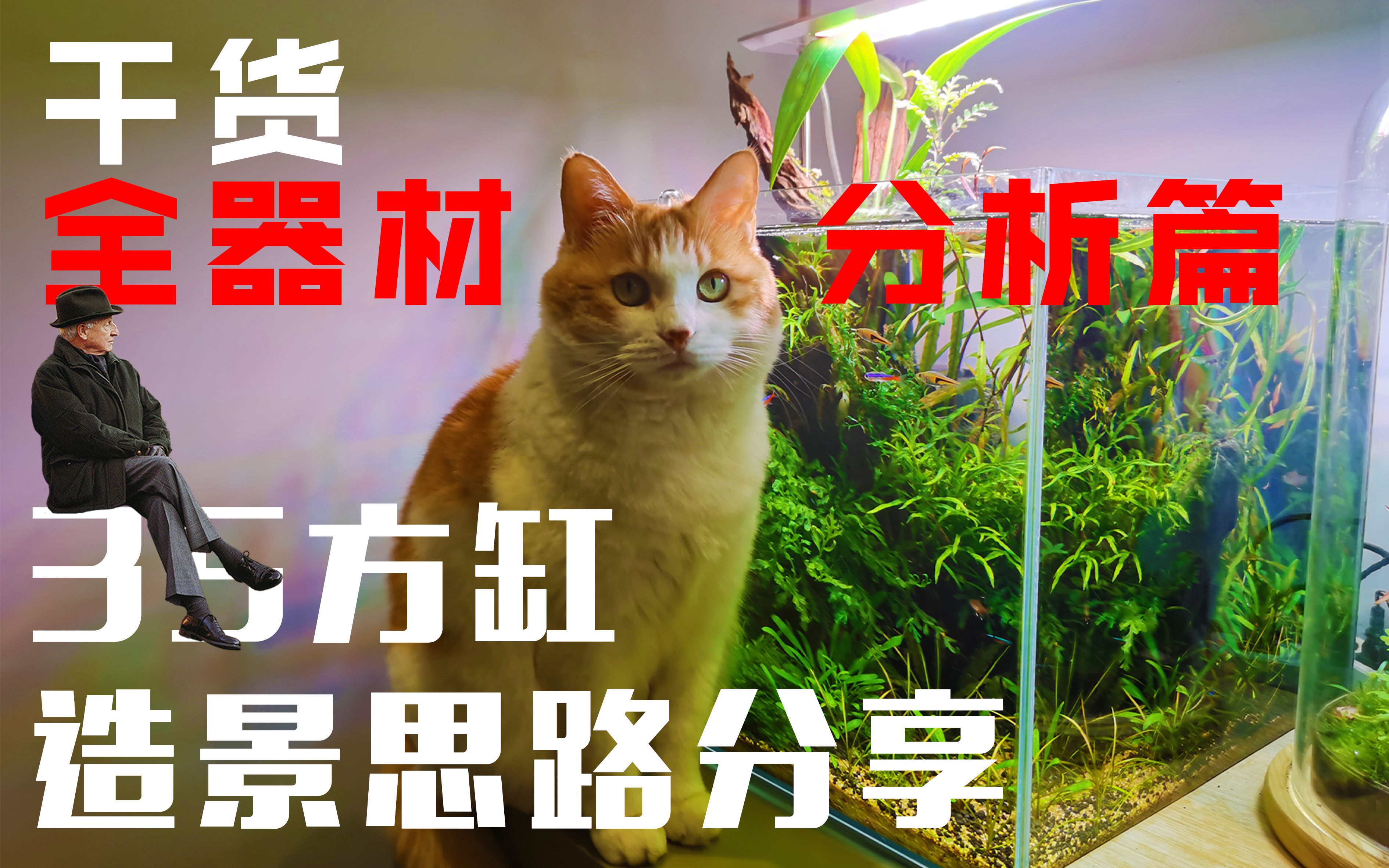 分享干货“hhpoker辅助软件”(其实是有挂)-第3张图片
