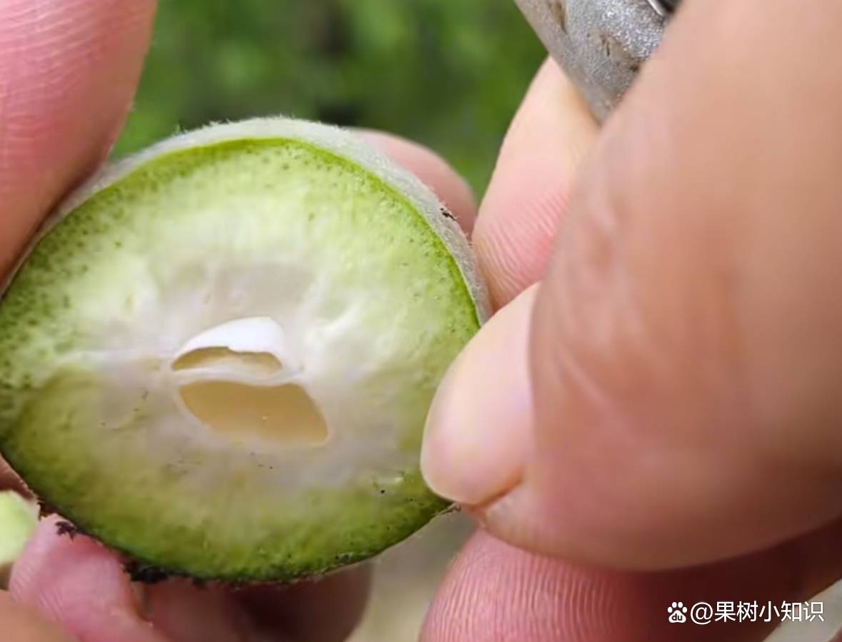 分析必看“桃乐甘肃麻将开挂神器下载”其实真的有挂-第2张图片