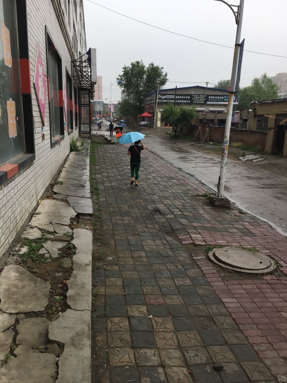 分享实测“新版肇东兴动麻将怎么下载挂”原来真的有挂-第2张图片