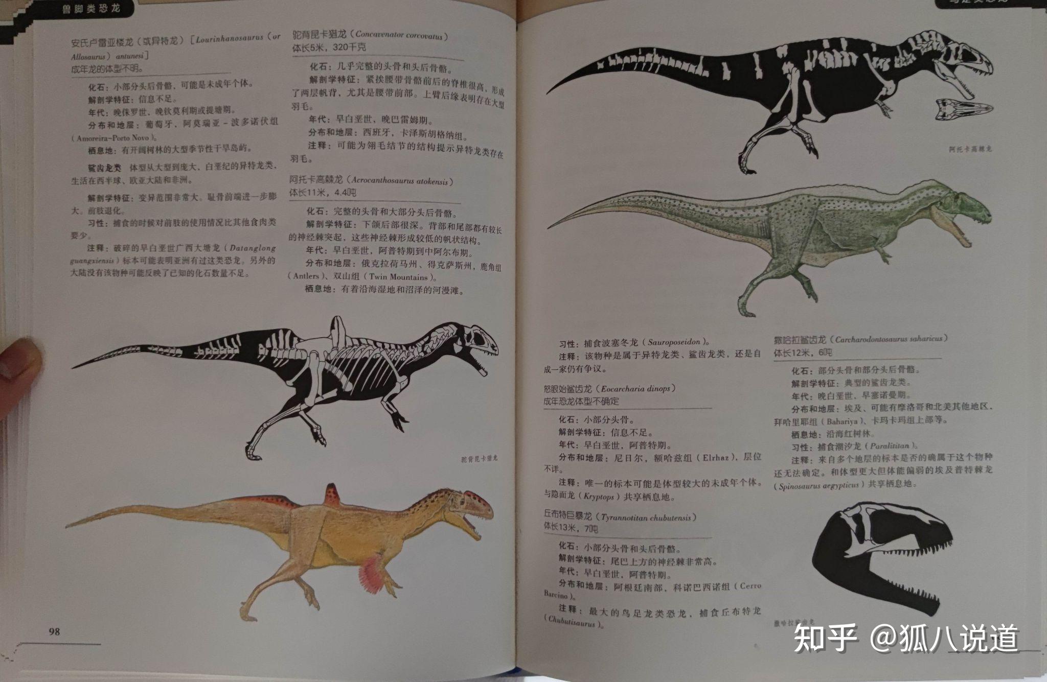 必看科普“开心跑得快透视	”分享装挂技巧步骤-第1张图片