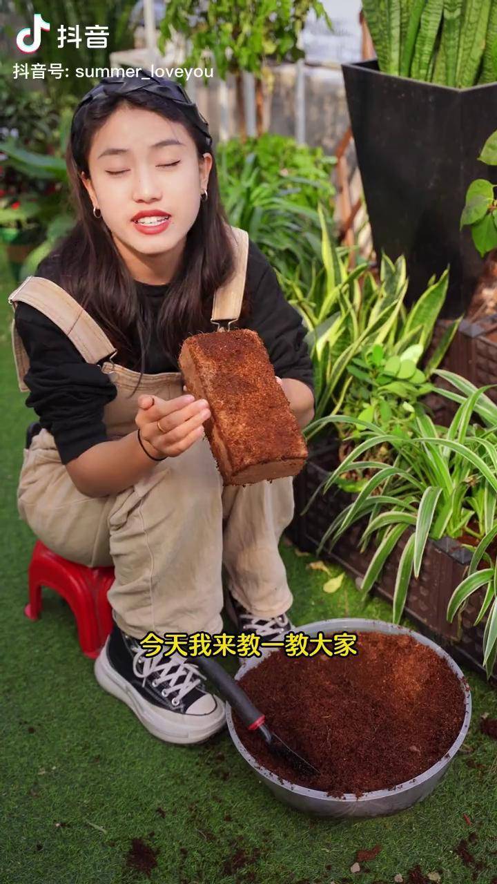 我来教教大家“上品十三水有挂吗”附开挂脚本详细步-第3张图片