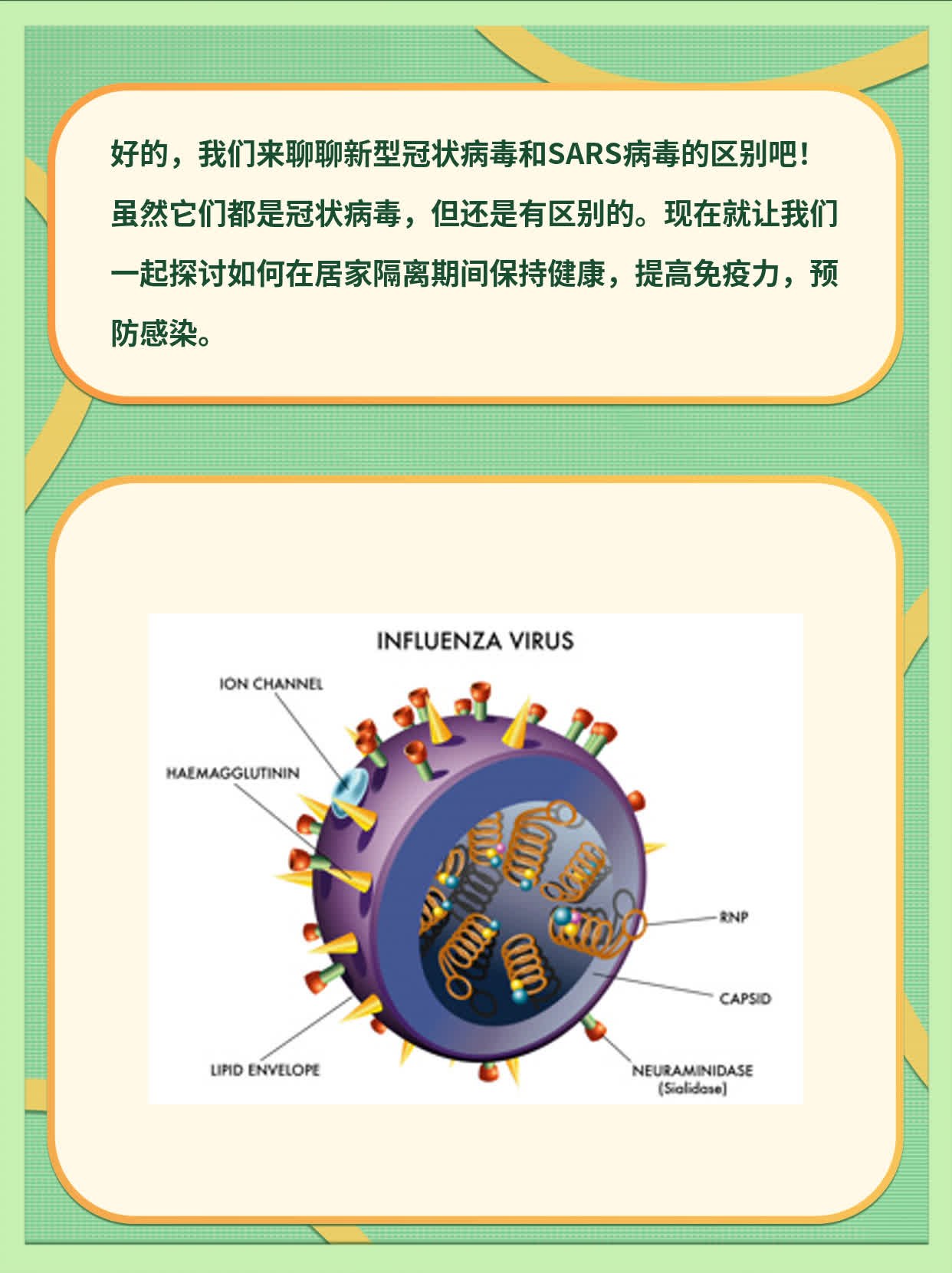 新型冠状病毒的最新消息.新型冠状病毒的最新消息是什么-第2张图片