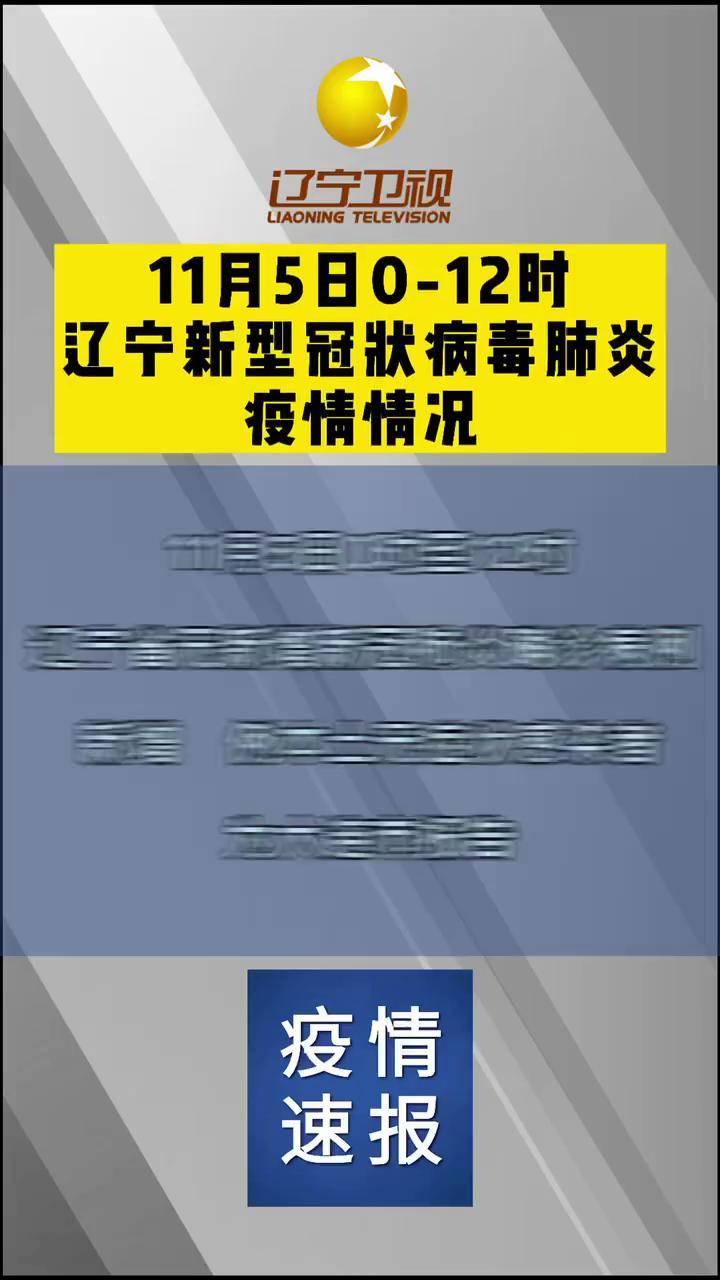 【辽宁新增本土确诊/辽宁新增本土疑似病例】-第2张图片