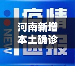 「河南新增本土确诊33例」〃河南新增确诊病例323例